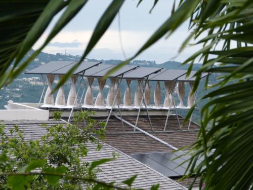 Kingston, Jamaica13 (Medium)