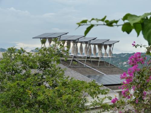 Kingston, Jamaica18 (Medium)