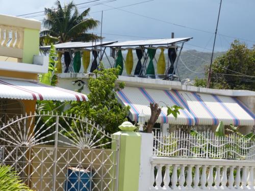 Kingston, Jamaica2 (Medium)